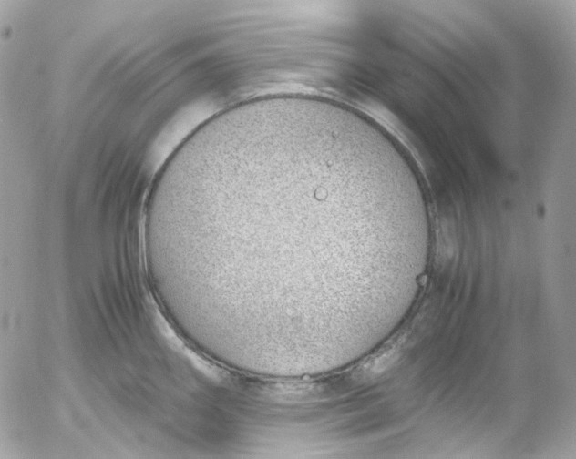 X0000052551290200507221441