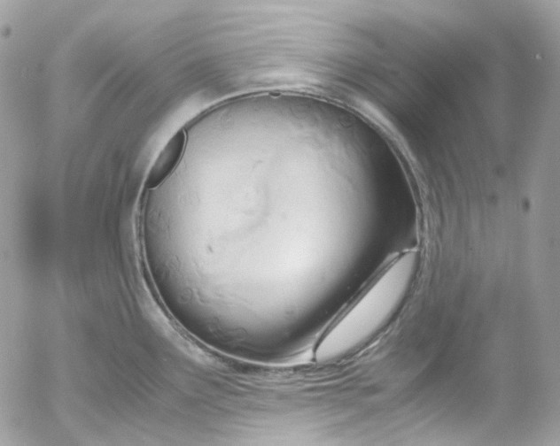 X0000052551291200507221441