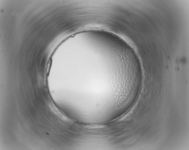 X0000052551296200507221441