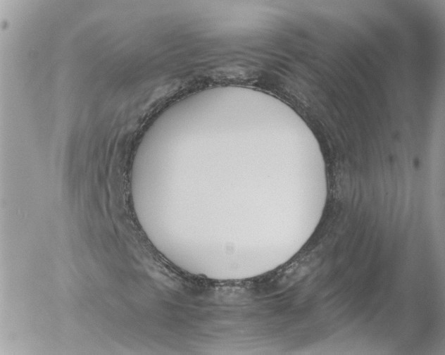 X0000052551297200507221441