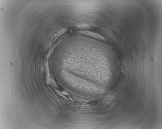 X0000052551298200507221441