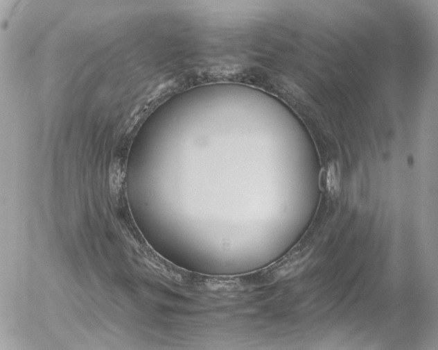 X0000052551299200507221441