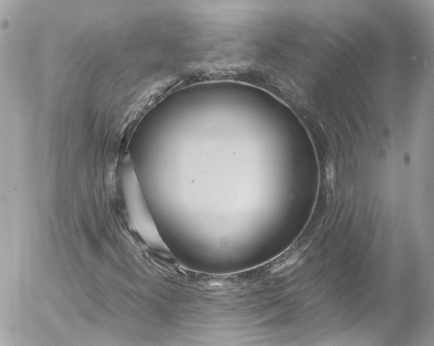 X0000052551300200507221441