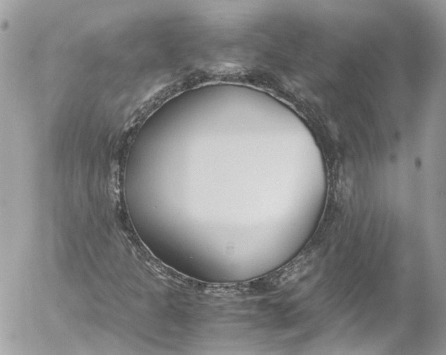 X0000052551301200507221441