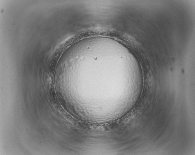 X0000052551302200507221441