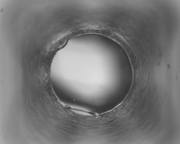 X0000052551303200507221441