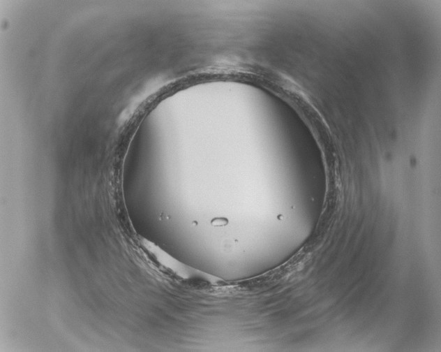 X0000052551304200507221441