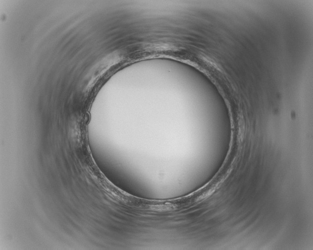 X0000052551305200507221441