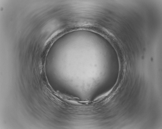 X0000052551306200507221441