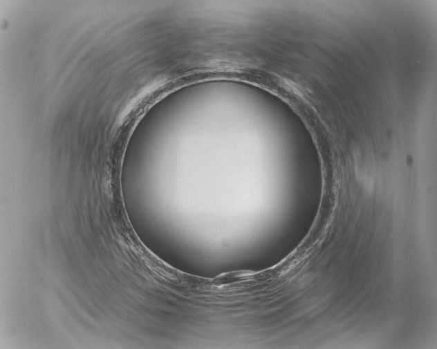 X0000052551307200507221441