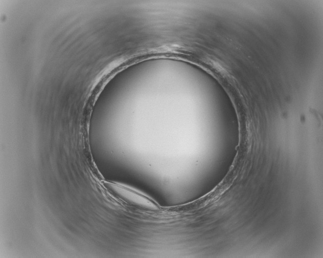 X0000052551308200507221441