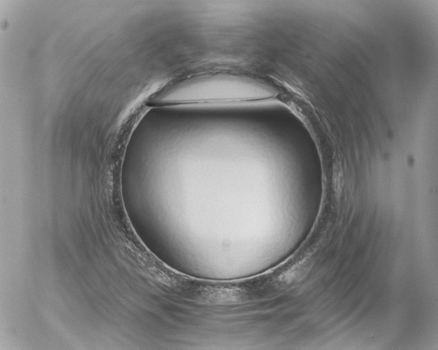 X0000052551309200507221441