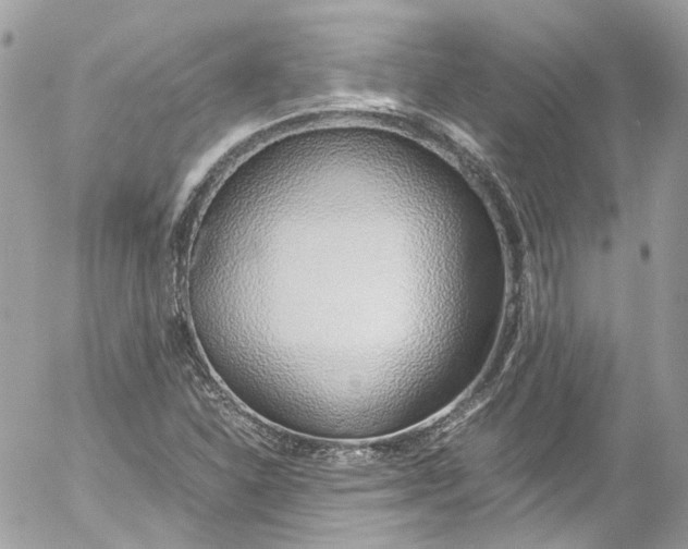 X0000052551310200507221441