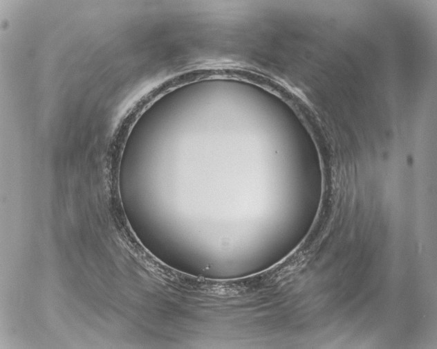 X0000052551311200507221441