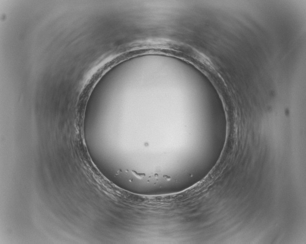 X0000052551312200507221441