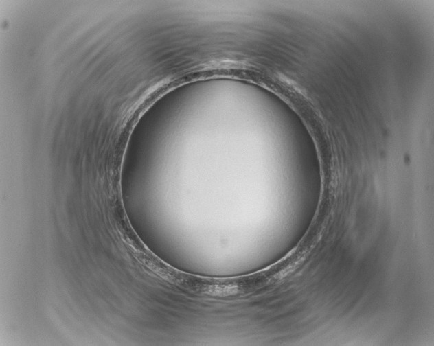 X0000052551313200507221441