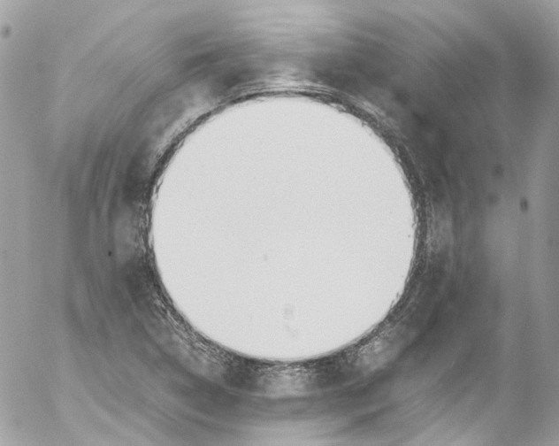 X0000052551314200507221441