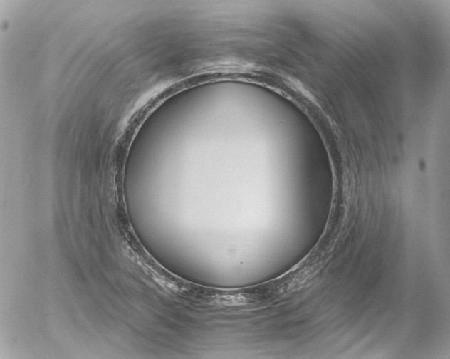 X0000052551315200507221441