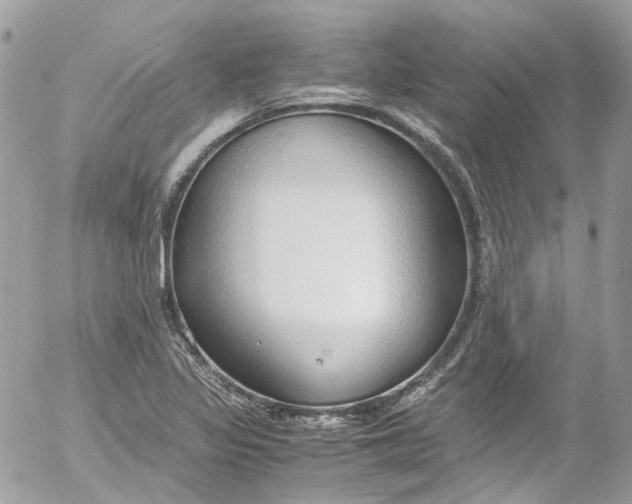 X0000052551317200507221441