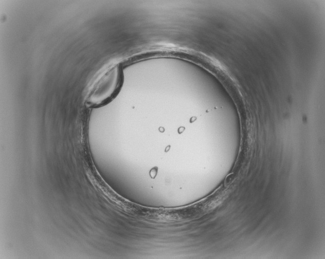 X0000052551318200507221441