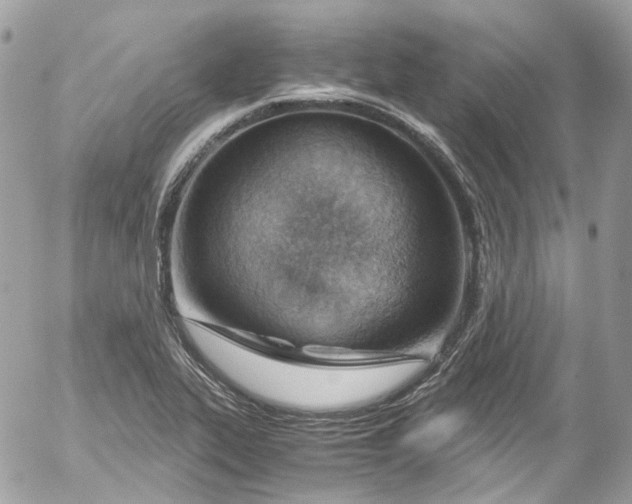 X0000052551319200507221441