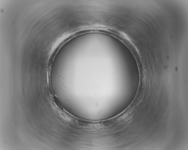 X0000052551320200507221441