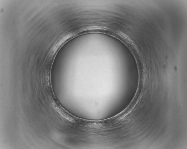 X0000052551321200507221441