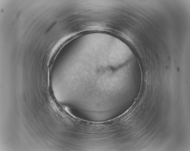 X0000052551323200507221441