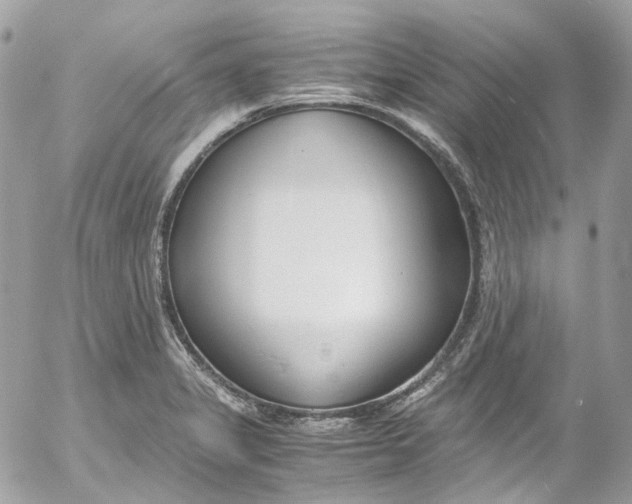 X0000052551325200507221441