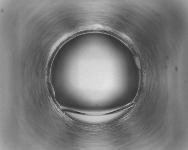 X0000052551326200507221441