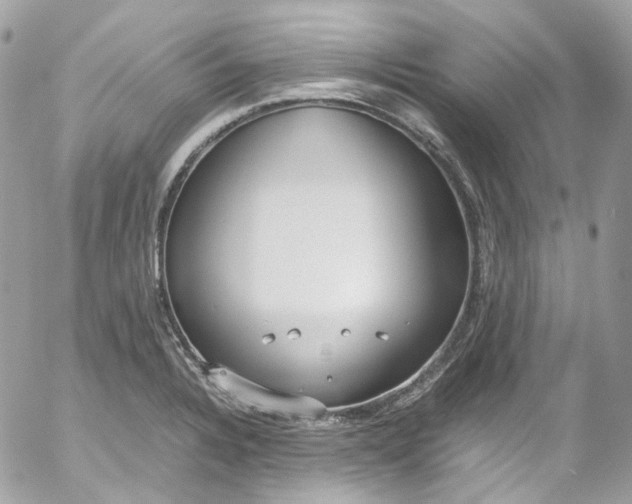 X0000052551328200507221441