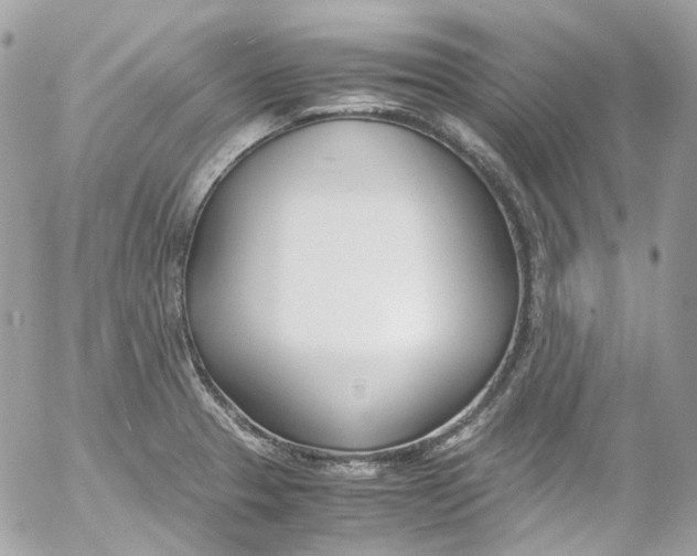 X0000052551329200507221441