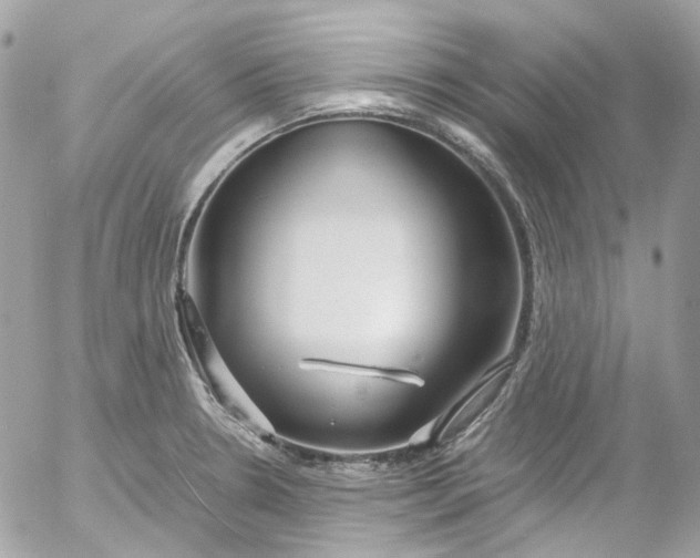 X0000052551330200507221441