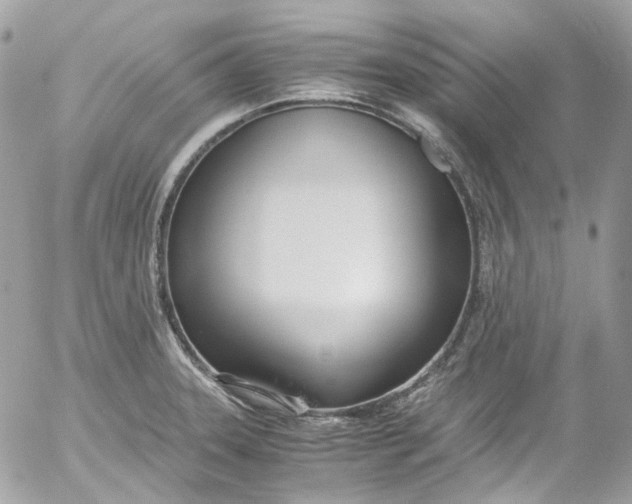 X0000052551331200507221441