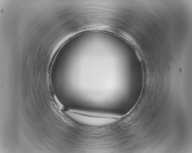 X0000052551332200507221441