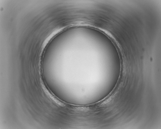 X0000052551333200507221441