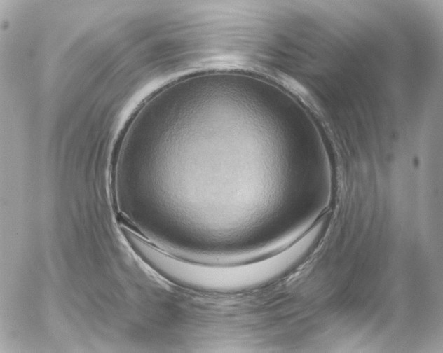 X0000052551334200507221441