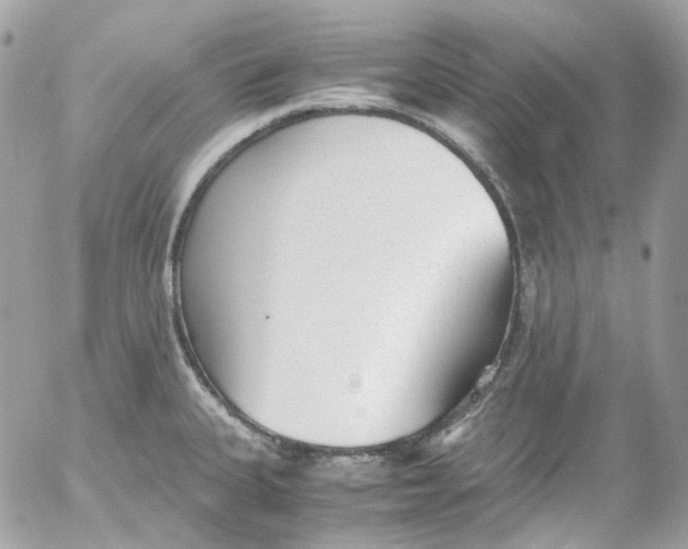 X0000052551335200507221441