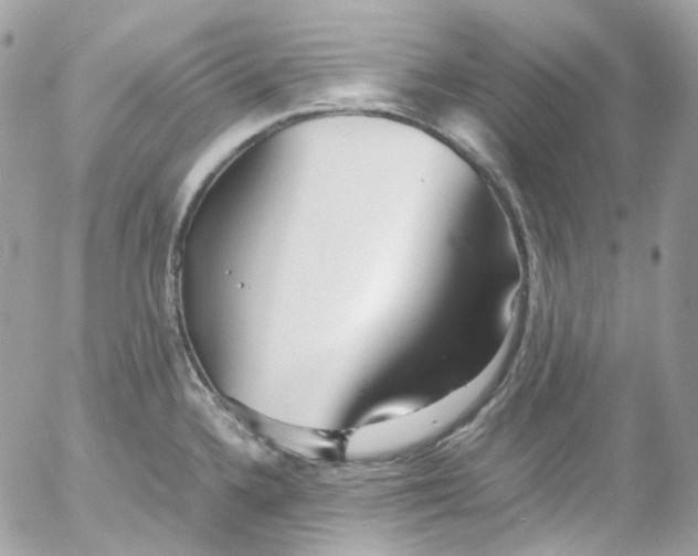 X0000052551336200507221441