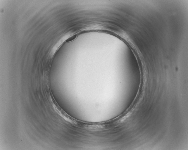 X0000052551337200507221441