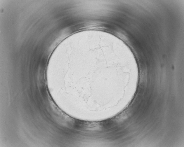 X0000052551338200507221441