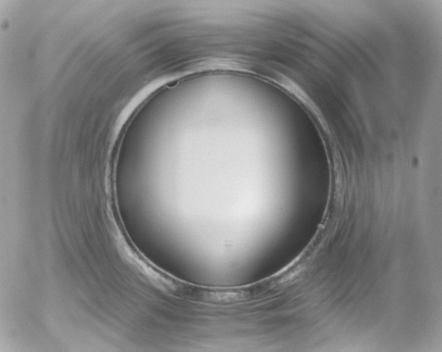 X0000052551339200507221441