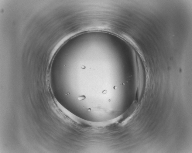 X0000052551340200507221441