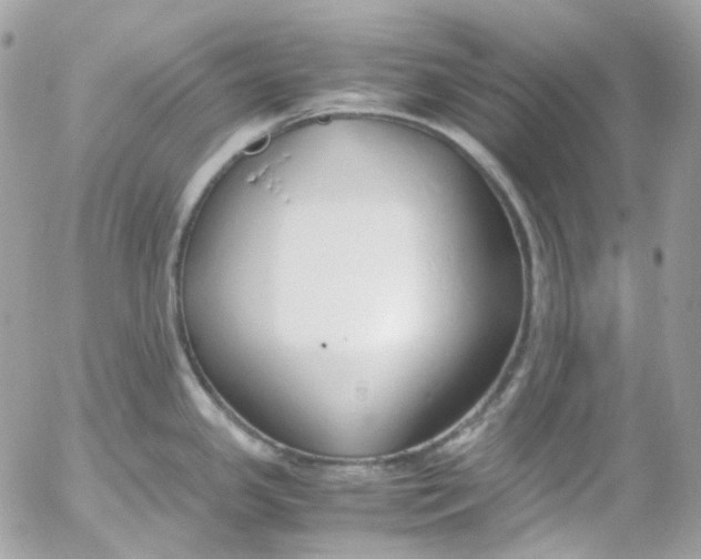 X0000052551341200507221441