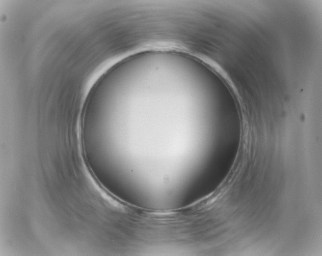 X0000052551343200507221441