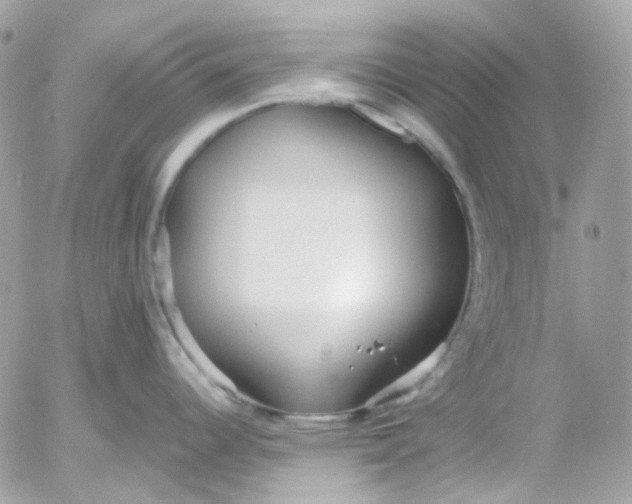 X0000052551344200507221441