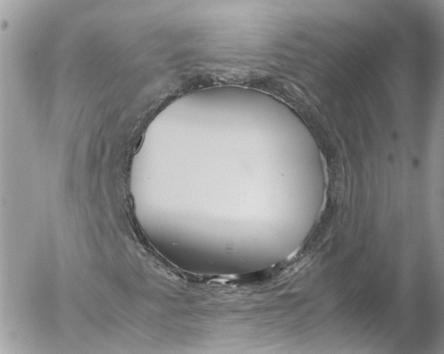 X0000052551345200507221441