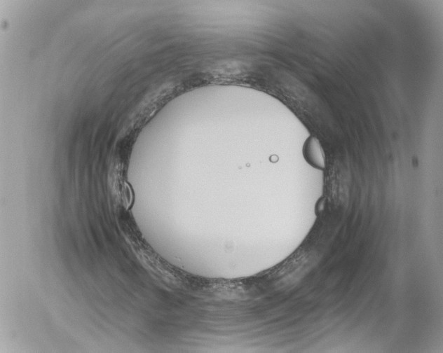 X0000052551346200507221441