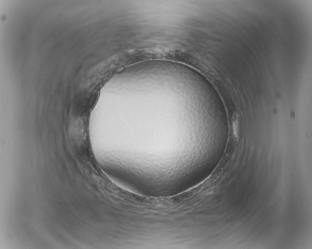 X0000052551347200507221441