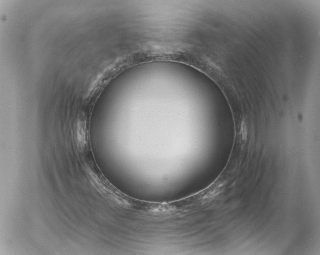 X0000052551348200507221441